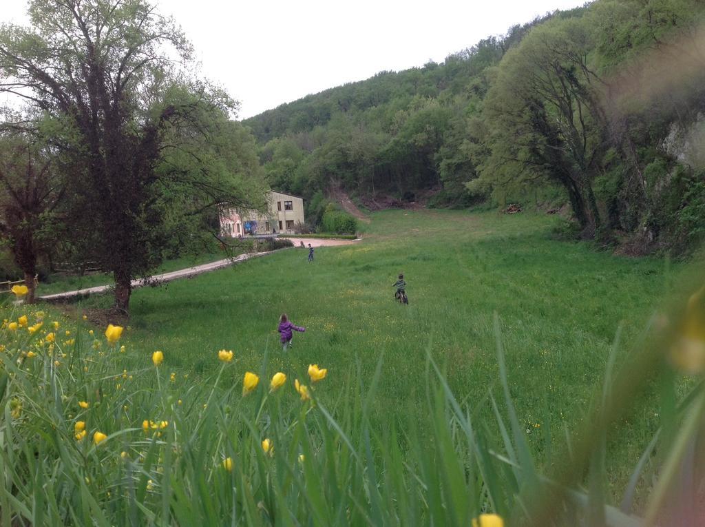 Agriturismo Altobello Verona Exterior foto